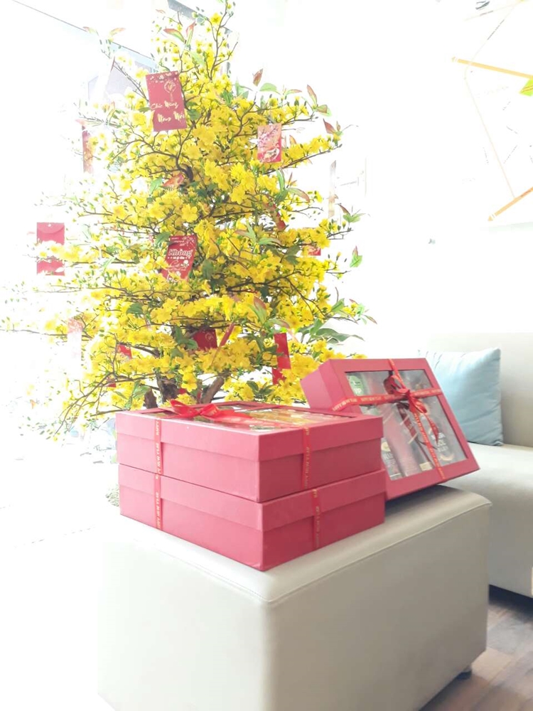 Cây mai Lộc Vàng